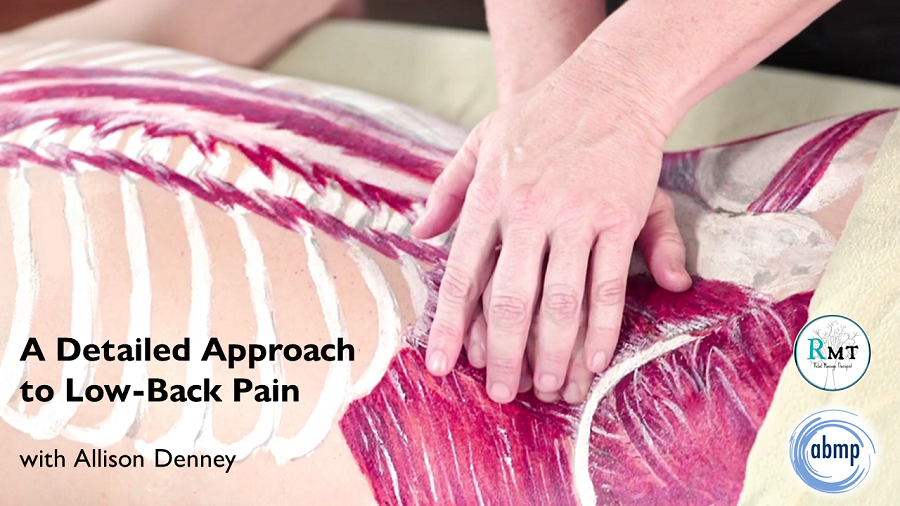 A Detailed Approach to Low-Back Pain